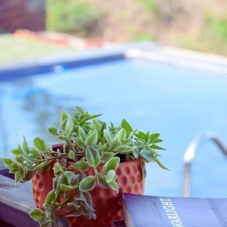 Waterrock Stays The Mango Tree Chalet Pune Luaran gambar